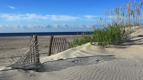 Shore thing Stock Footage 12320942