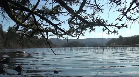 Shore view Stock Footage 22377187