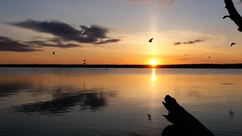 Shore view on sundown lake and sky Stock Footage 91173092