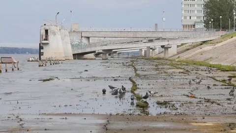 The shore of the Volga River Video stock 77826451