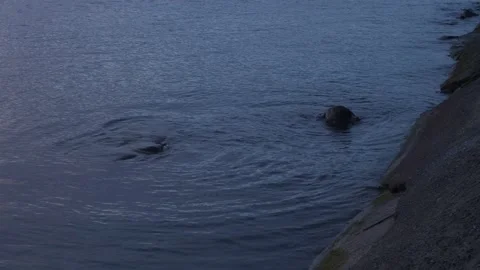 Shore waves pier ocean Stock Footage 170182185