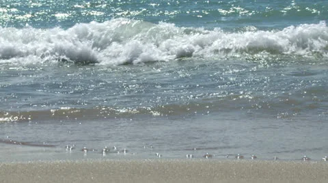 Shoreline 03L Stock Footage 26109780