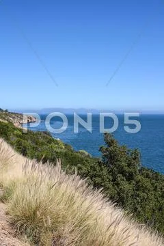 Shoreline along indian ocean Stock Photos