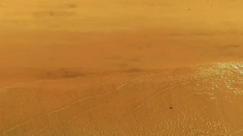 Shoreline and beach shot Stock Footage 90052658