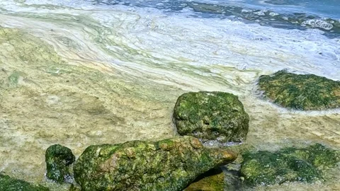 The shoreline is captured during wave surf, where breaking waves generate w.. Stock Footage 340128746