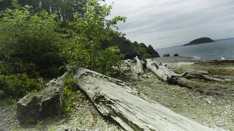 Shoreline in Deception Pass Bridge State Park Stock Footage 73527441