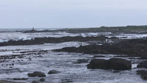 Shoreline on a Downcast Day Stock Footage 155117932