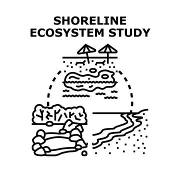Shoreline ecosystem study concept with varying natural habitats Stock Illustration