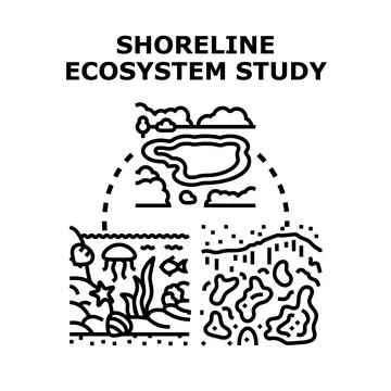 Shoreline ecosystem study examining environmental impact Stock Illustration