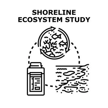 Shoreline ecosystem study illustrating environmental pollution analysis Stock Illustration