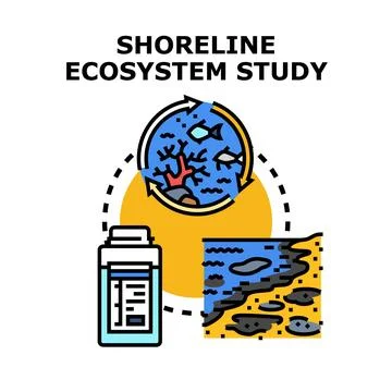 Shoreline ecosystem study illustrating environmental pollution analysis Stock Illustration