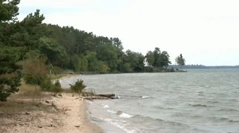 Shoreline Vidéo 11885476