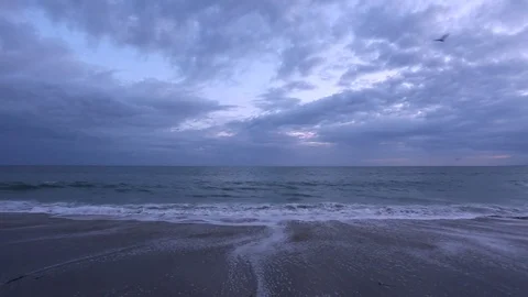 Shoreline Stock Footage 84712775