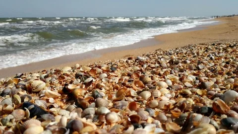 Shoreline. Stock Footage 98087948