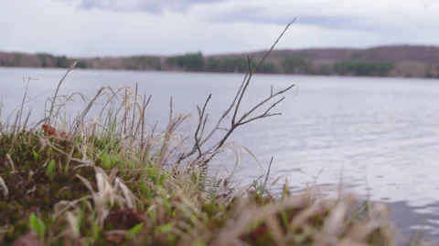 Shoreline of Lake 库存影片 154054273