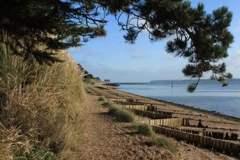 Shoreline  Stock Photos