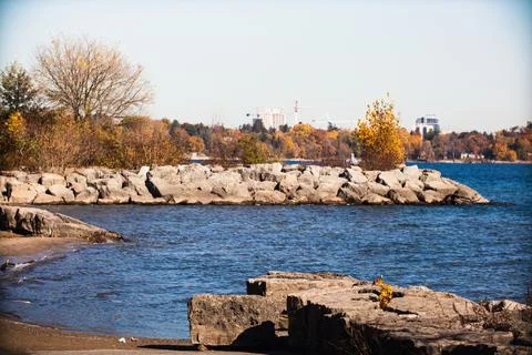 Shoreline  Stock Photos