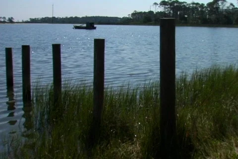 Shoreline posts, pan Video stock 439076