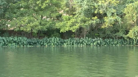 SHORELINE SCENERY - HD Stock Footage 8524859