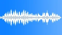 On the Shoreline (with sea sfx) Stock Music