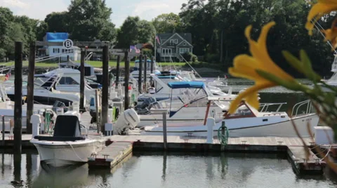 Shoreline view of harbor Stock Footage 28044651