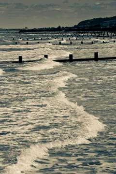 Shoreline view Stock Photos