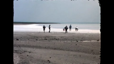 Shoreline with Visitors Video stock 278100897