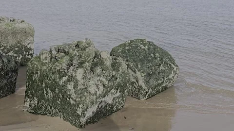 Shoreline Water Movement  with Algae Rocks Stock Footage 321966040