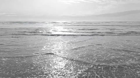 Shoreline Waves Stock Footage 307237114