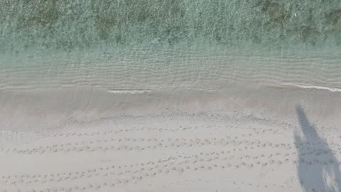 A shoreline with white sand Stock Footage 289042850