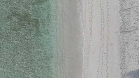 A shoreline with white sand Stock Footage 289043002