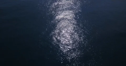 Shoreline Wide Vídeo Stock 92161567