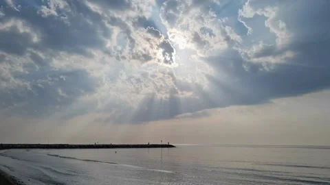 On the shores of the beach 스톡 동영상 229539617