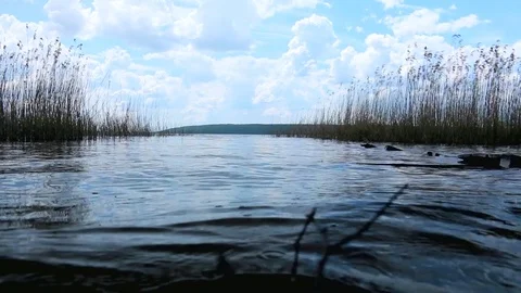 On the shores of lake Stock Footage 75206589