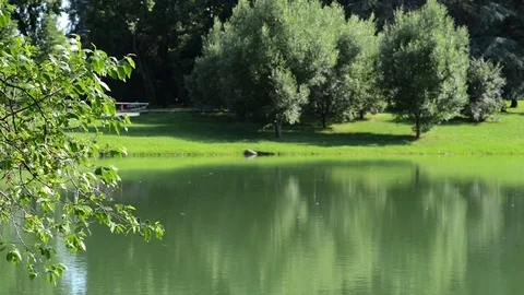 On the shores of the lake Video stock 91752360