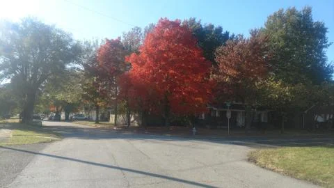 Short Autumn Drive Stock Photos