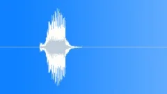 Short car hornSound Effect