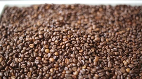 Short clip of coffee beans. Stock Footage