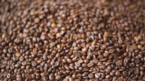 Short clip of coffee beans. Video stock 131884306