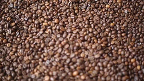 Short clip of coffee beans. Video stock 131884341