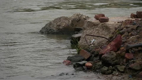 Short clip of Rocks at the edge of a river, running river beneath Stock Footage 225740935