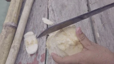 Short Close Up Cutting Fresh Coconut Outdoor No Audio Vídeos de archivo 332579777