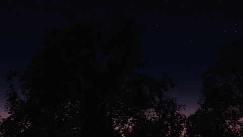 SHORT CONCEPTUAL CLIP OF A PANORAMIC MOVEMENT FROM  A FOREST TO AN ANTENNA Stock Footage 163890715