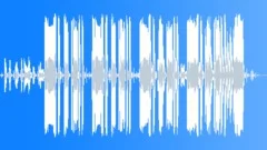 Short Disco Funk Soul Percussion Breakdown Inspired by Sly and the Family StoneStock Music