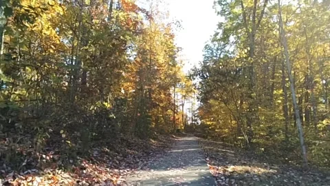 A short drone video along a path in autumn at Natural Arch Scenic Area park Stock Footage 340860655