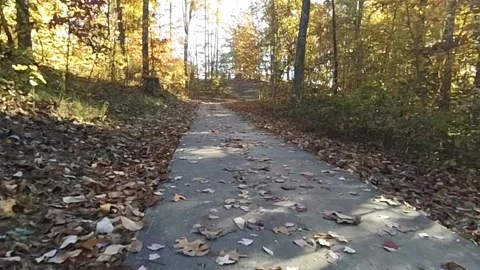 A short drone video of fall trees and leaves in Natural Arch Scenic Area park 動画素材 340860660