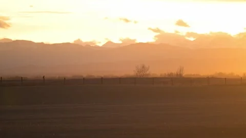 Short Eared Owl Stock Footage 328421677