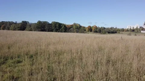 Short fast flight over a field Stock Footage 97609844