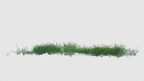 Short Grass Swaying Seamless Alpha Loop Stock Footage 326848539