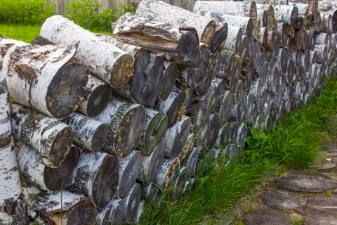 Short logs of birch Stock Photos
